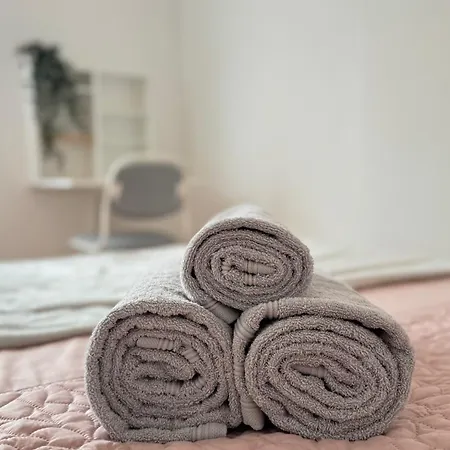 Apartment Le Charme De Champagne - 3 Chambres & Wifi & Proche Centre Troyes